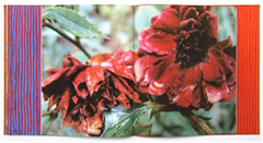 The Great Attractor page