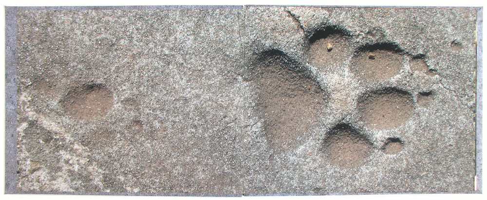 02 insidefrontcover